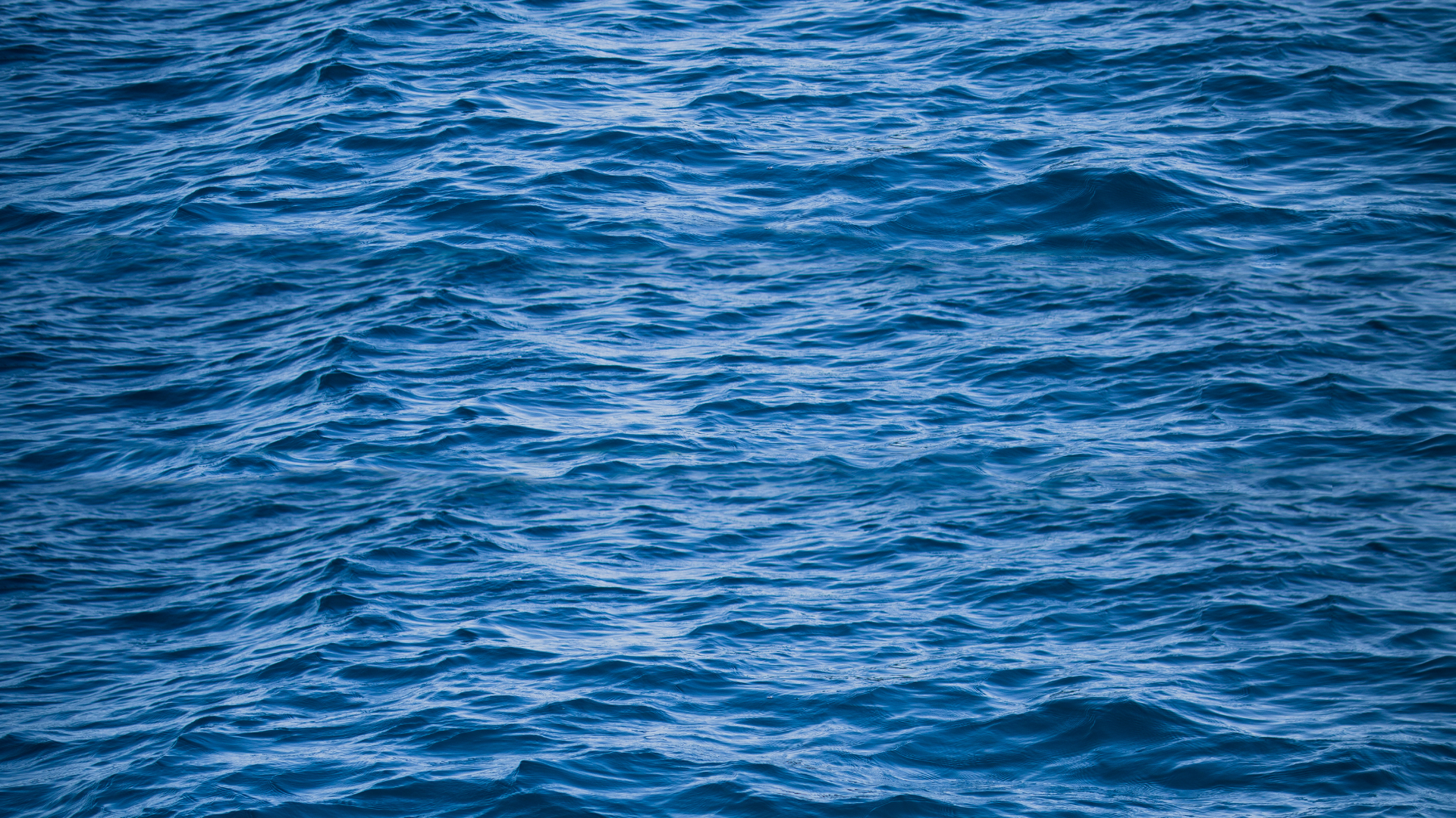 Rhum Arrangé